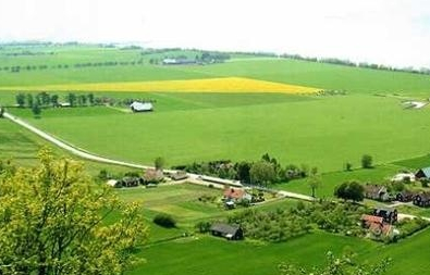 如何减少和解决农村土地纠纷?土地流转是关键