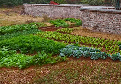 三门峡市农业产业化十三五发展规划--土流网