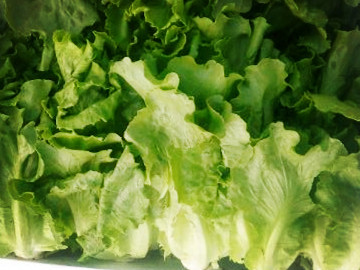 夏天在露台上可以种什么菜?--土流网