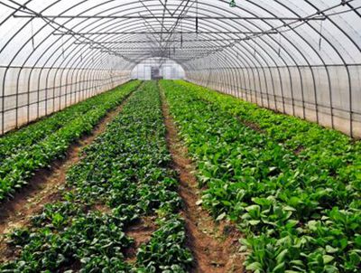 发展现代生态农业 推进科技精准扶贫--土流网