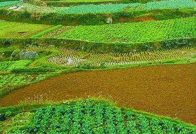 地役权的主要内容包括哪些?--土流网