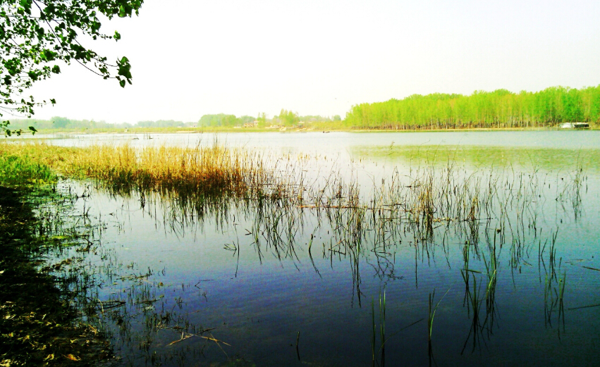 沼泽地和湿地是什么关系?沼泽地与湿地的区别