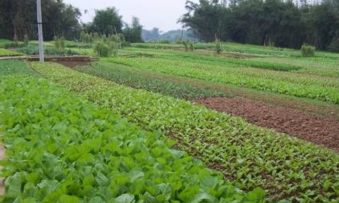 地役权的法律特征--土流网