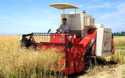 兴化市粮食局积极探索粮食供给侧改革--土流网