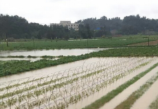 山东省农药经营许可证发放管理暂行办法--土流