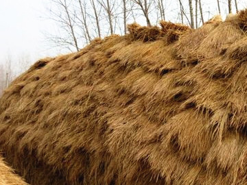 农作物秸秆焚烧有何危害?如何进行综合利用?