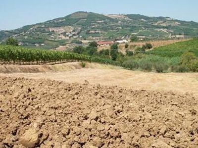 农村自留山、自留地、宅基地是否可以继承?--