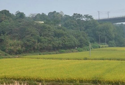 翁牛特旗2016年前三季度惠民补贴资金发放情