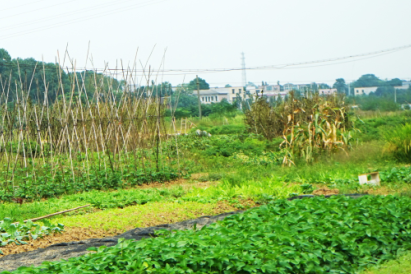 义乌国土局:四项措施加强管理储备土地--土流网