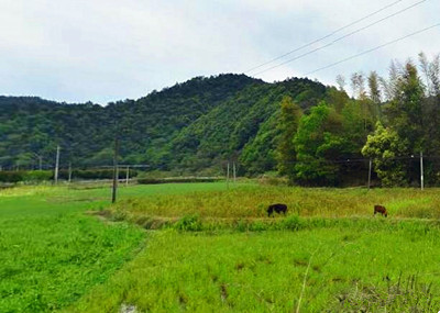 2016年第三季度海盐县农产品及生产资料价格