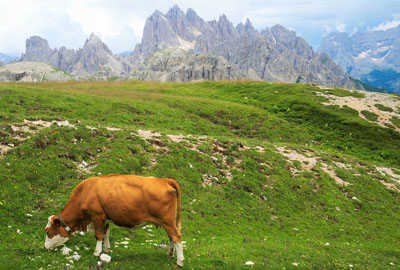 浏阳市全力推进农村土地制度改革三项试点--土