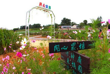 青岛市发展休闲农业最新进程及实施政策--土流