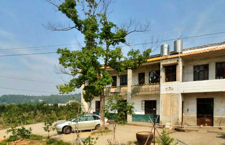 我国农村宅基地制度的历史变迁和法律沿革梳理