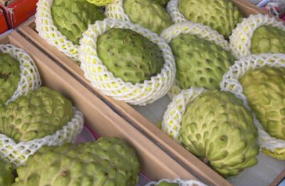 释迦是什么 释迦果什么时候种植好?--土流网