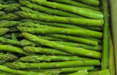 芦笋种植、采收时间及投资前景分析--土流网