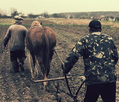种植合作社会计科目及财务管理制度--土流网