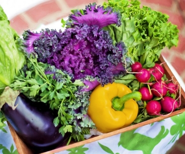 京冀签署对口帮扶合作框架协议(北京13区与河