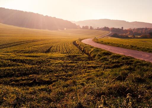不动产包括哪些内容?与动产的区别是什么?--土