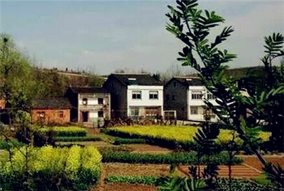 重庆农民承包地有偿退出机制试点(最新消息)--