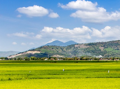 土地管理法将修改哪些条款?农民能得到哪些好