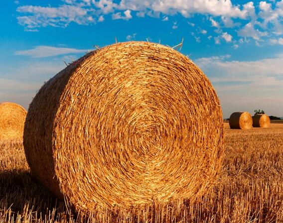 2017年关于玉米秸秆处理的三项补贴政策--土流