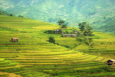 2017年申请家庭农场需要哪些条件?多少亩地可