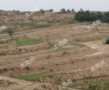 集体土地使用证使用年限多久?能过户吗?--土流