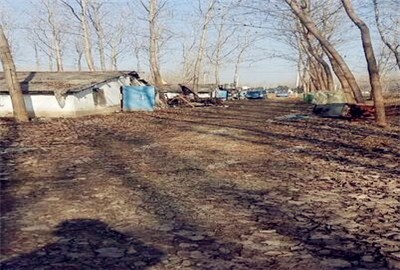 2017年江苏省农村宅基地管理办法(附补偿原则