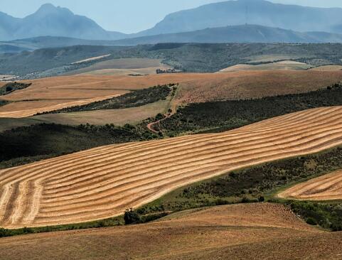 2017年土地使用税如何征收?征收标准是多少?