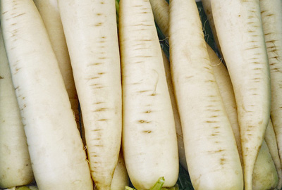 白萝卜多少钱一斤?2017年白萝卜价格行情预测