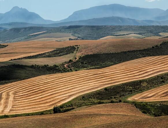 地役权对受让人具有约束力吗(案例分析)--土流