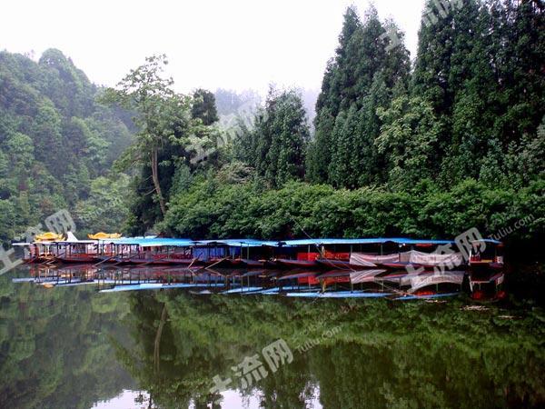 重庆市忠县宅基地可以转让吗?怎么转?--土流网