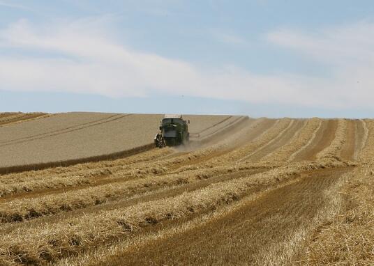 房屋赠与直系亲属,是否需要缴纳土地增值税? 