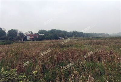 进城落户农民有土地承包权吗?--土流网