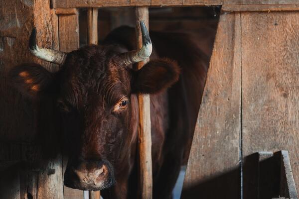 2017年国家返乡创业政策汇总:贷款、补贴、税