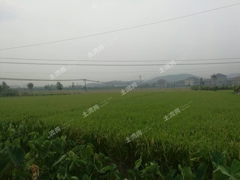 2017年广州户籍政策:潮州市非转农条件--土流