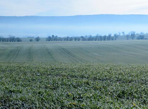 外嫁女是否享有土地承包经营权?--土流网