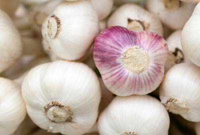 2017年大蒜价格局部大幅拉涨,新蒜上市价格基