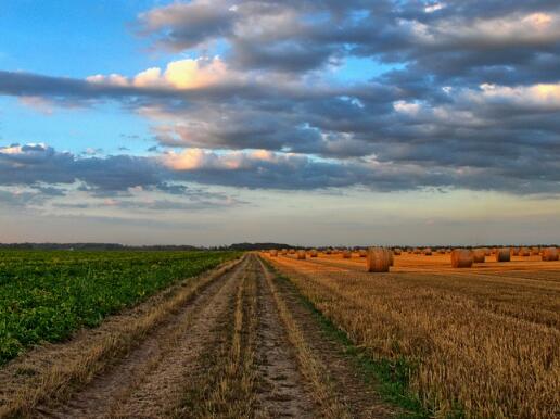 家庭农场的设施农用地怎么用?--土流网
