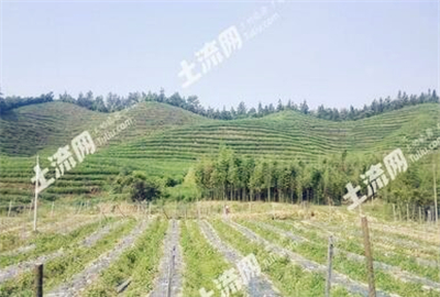 什么是耕地占补平衡?耕地占补平衡指标价格是