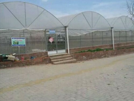 农村搞两亩温室大棚蔬菜需要投资多少钱？造价是多少？