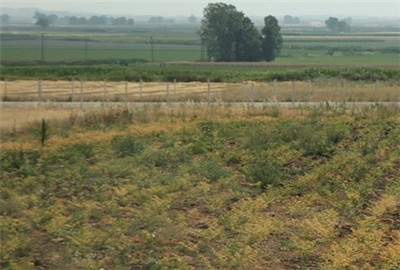 邓州市土壤污染防治工作方案--土流网