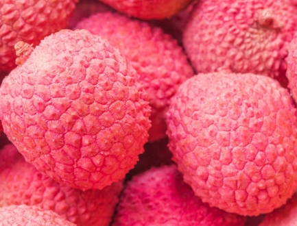 2017年海南荔枝什么时候上市?如何挑选?价格