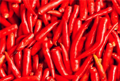 2017年种辣椒赚钱吗?2017种辣椒奇幻城官网及市场价格行情分析