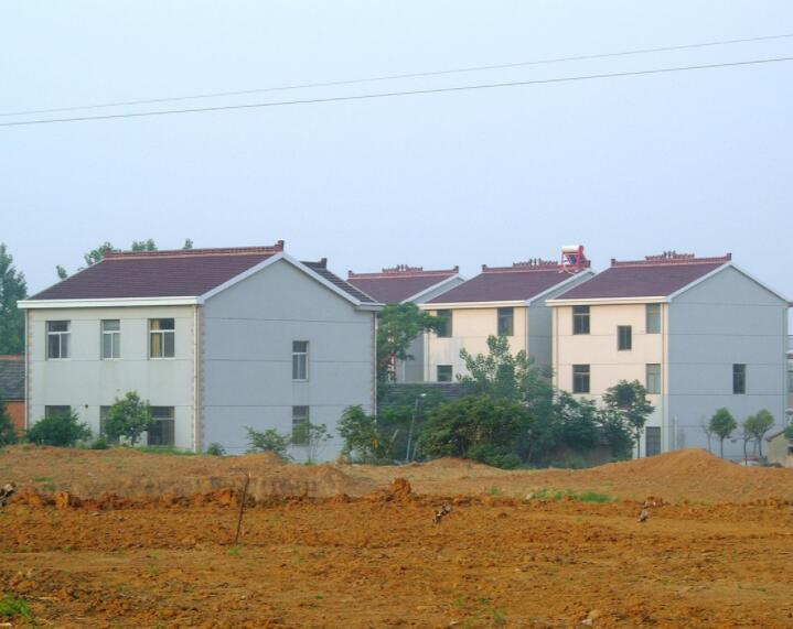 治促进乡村更新--基于上海市农村的调查分析 -