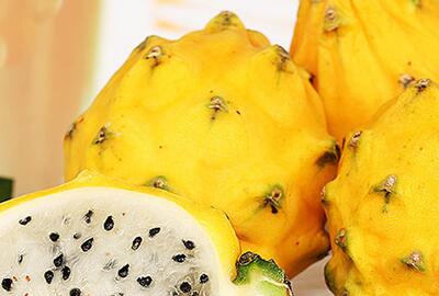 麒麟果是火龙果吗?多少钱一斤2017?为什么那