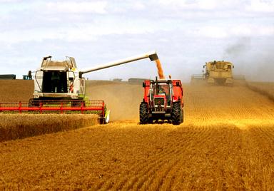 农业保险保费需要交多少钱?如果发生自然灾害