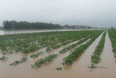 湖南省引入巨灾保险应对洪涝灾情 省内21个试