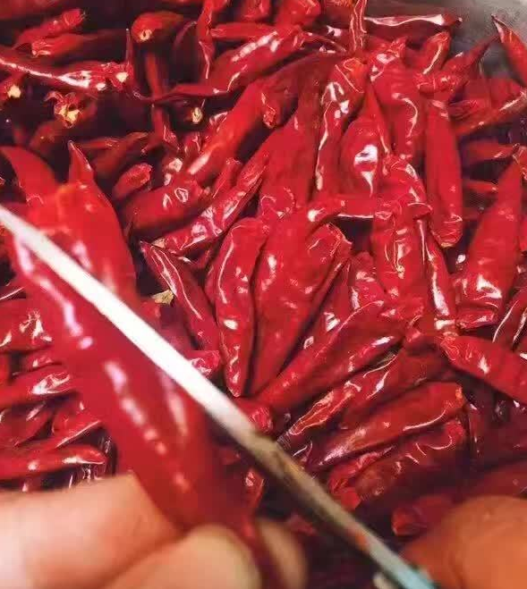 辣椒的价格多少钱一斤?2017年辣椒价格会跌吗