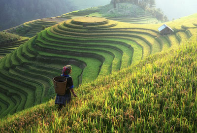 变更工业用地用途需要什么条件?怎么办理? - 土